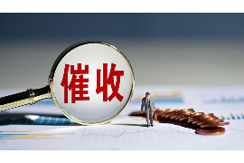 乐安要账公司更多成功案例详情